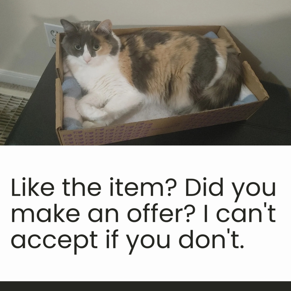 Offers Accepted